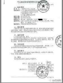 明星吸毒论文文献,明星吸毒现象的深度剖析与影响研究