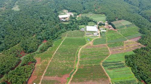 宾川市兴旺乡新闻头条,乡村振兴战略下的兴旺新篇章