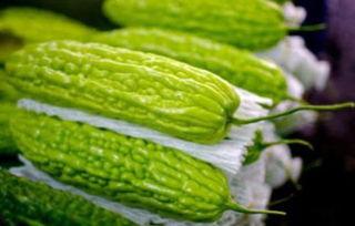 怀孕可以吃小风瓜吗,小风瓜在孕期是否适宜食用