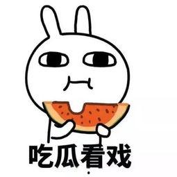 吃瓜热点搞笑,盘点那些让人捧腹大笑的吃瓜瞬间