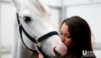 半马明星,闪耀赛道，展现非凡风采