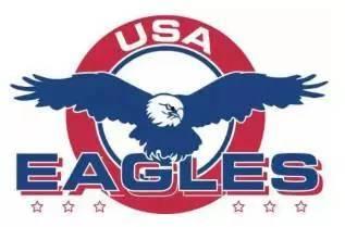 飞鹰外国明星,外国明星的璀璨星光之旅