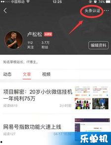 通过网络如何认证头条号,如何通过网络轻松认证头条号，开启自媒体新篇章