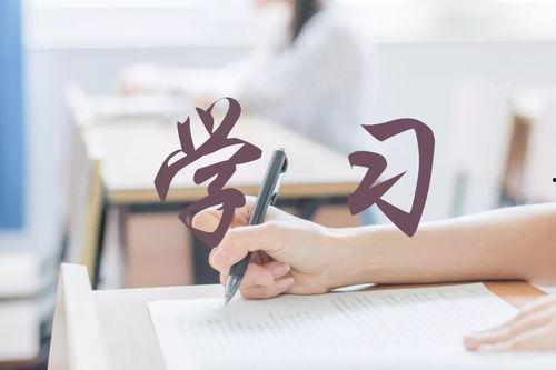 赋料扬雄敌诗看子健亲,子健亲的文学交锋与情感抒发