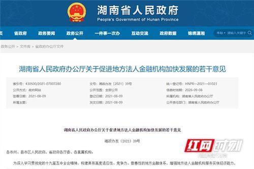 中国主播网红网法人,中国主播网红网法解析