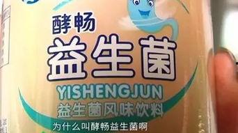 网红饮料益生菌,网红饮料引领健康生活新风尚