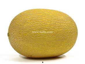 哈密瓜过敏可以吃蜜瓜吗,安全食用指南