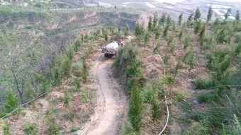 韩城西塬吃瓜事件,一场引发热议的网络狂欢