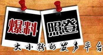 垫江新闻爆料台,聚焦民生热点，传递社会声音