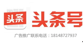 曲家村新闻今日头条最新,揭秘乡村振兴新典范，曲家村发展成就瞩目