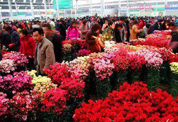 菏泽网红鲜花批发市场,花海中的繁华盛景