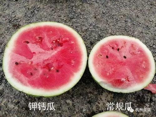 大白生瓜怎么吃,大白生瓜的多样食法探索