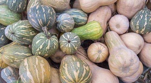 一天吃两瓜,健康生活新主张