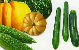 吃瓜寸心,揭秘娱乐圈背后的真实故事