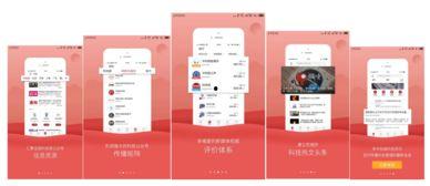 头条比较厉害的矩阵号,引领信息时代的传播巨头