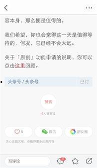 小红书看头条收益怎么算,揭秘收益分配秘密