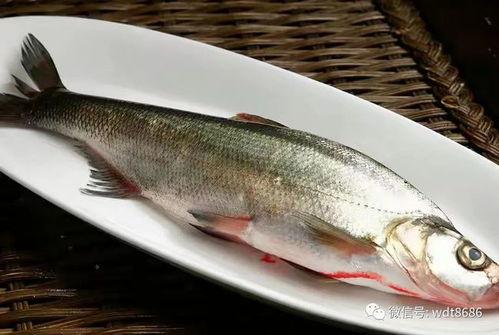 头条怎样把草鱼的刺去掉,头条教你巧除鱼刺秘诀
