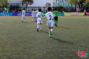 郑州网红足球鞋厂,打造潮流与性能并重的足球鞋传奇