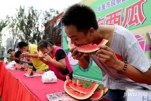 吃瓜每日大赛网站在线观看,在线观看，揭秘娱乐圈幕后风云