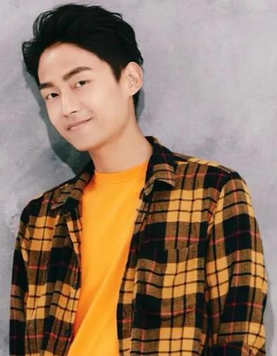 林什么男明星,从青涩少年到成熟演员的蜕变之路