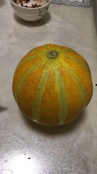 怀孕可吃梅瓜吗,梅瓜——孕妇可食用的美味水果