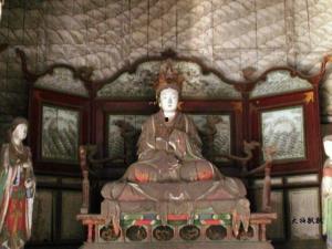 水母娘娘今日看料图片,探寻海洋生物的神秘魅力