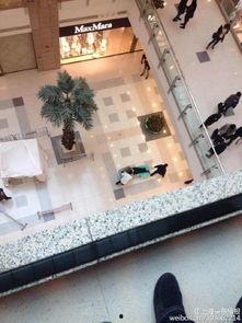 网友爆料坠楼事件视频下载,惊心动魄的坠楼事件视频引发社会关注