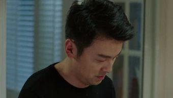 娱乐城启明星,璀璨星光下的娱乐盛宴